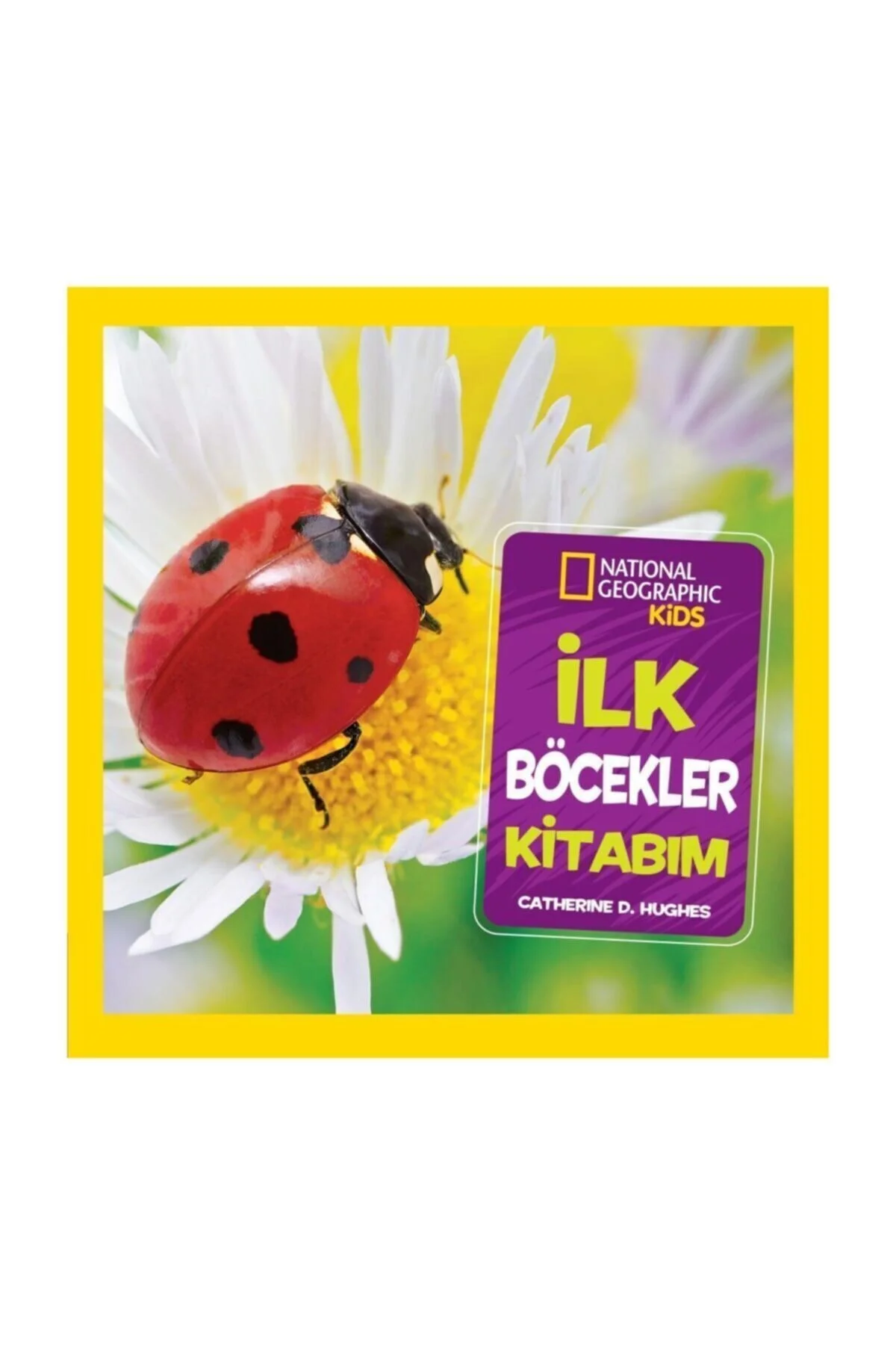 İlk Böcekler Kitabım