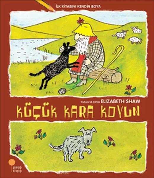 İlk Kitabını Kendin Boya - Küçük Kara Koyun Fiyatı, Yorumları ve Özellikleri