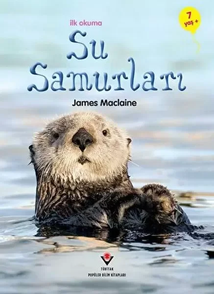 İlk Kitaplığım -  Büyüleyici Masallar Fiyatı, Yorumları ve Özellikleri