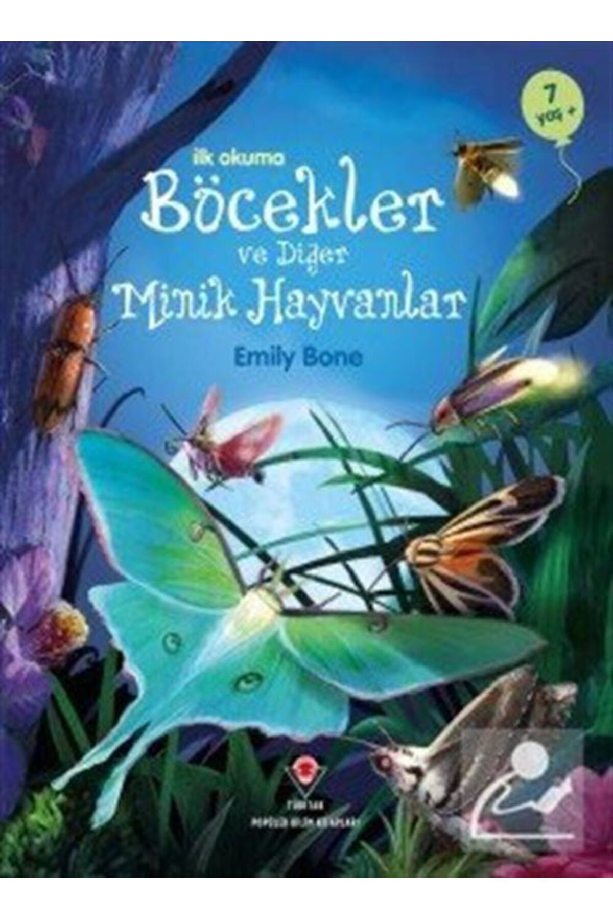 İlk Okuma - Böcekler Ve Diğer Minik Hayvanlar