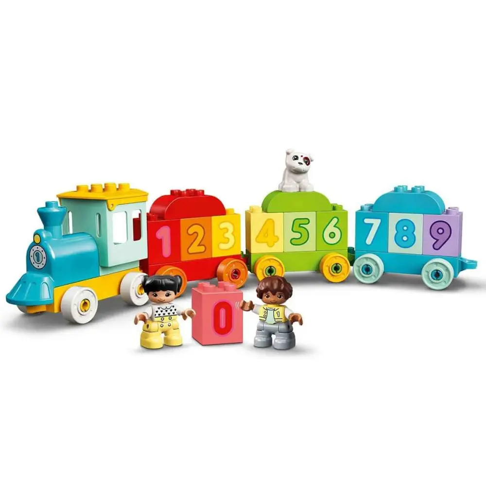 İlk Sayı Treni 10954