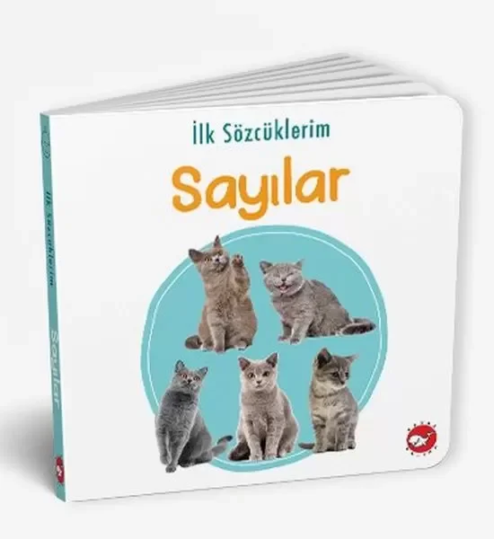 İlk Sözcüklerim - Sayılar Fiyatı, Yorumları ve Özellikleri