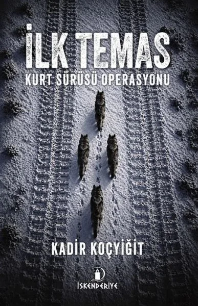İlk Temas Fiyatı, Yorumları ve Özellikleri