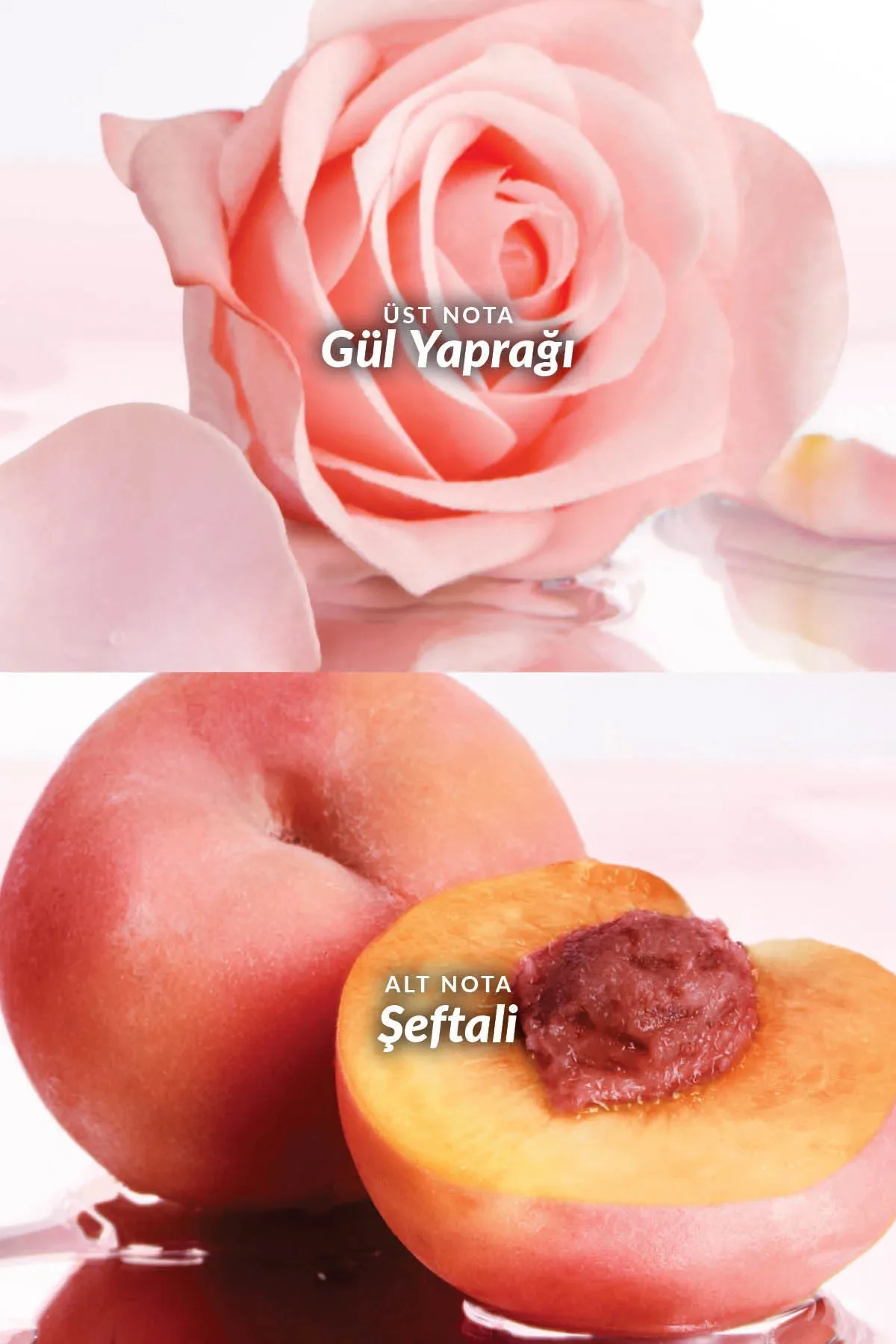 Imari Naturelle Kadın Parfüm Edt 50 Ml. İkili Set