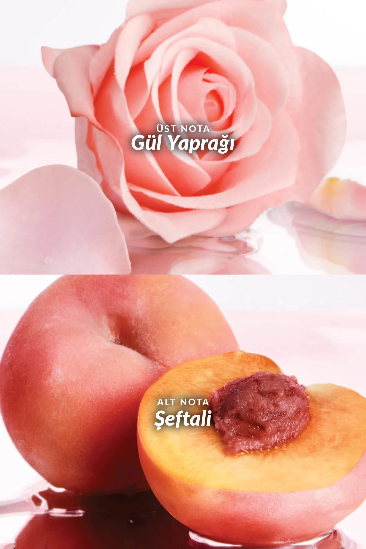 Imarı Naturelle Kadın EDT Imarı Naturelle Kadın EDT