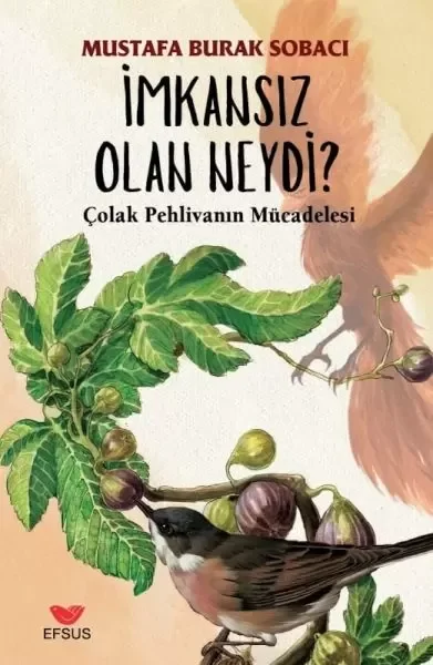 İmkansız Olan Neydi Fiyatı, Yorumları ve Özellikleri