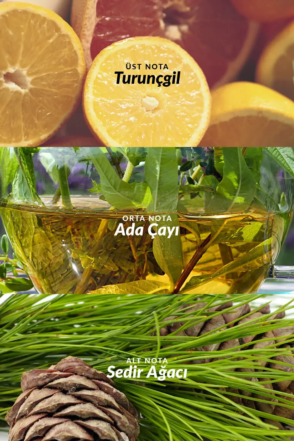 Incandessence Lotus Kadın Parfüm Edp 50 Ml. İkili Set