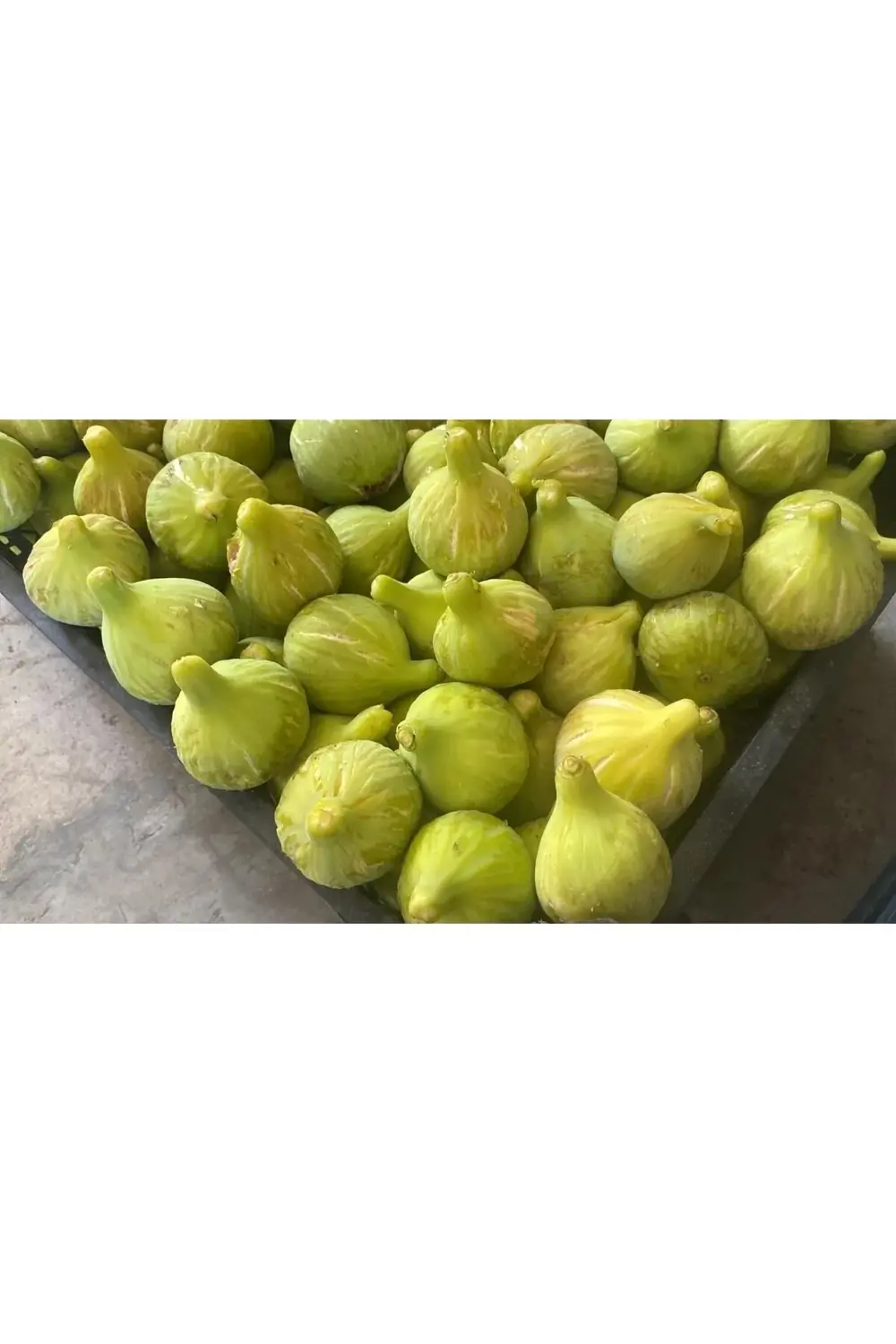 İncir Kıtırı - Freeze Dried - Üretici Firmadan Dondurularak Kurut