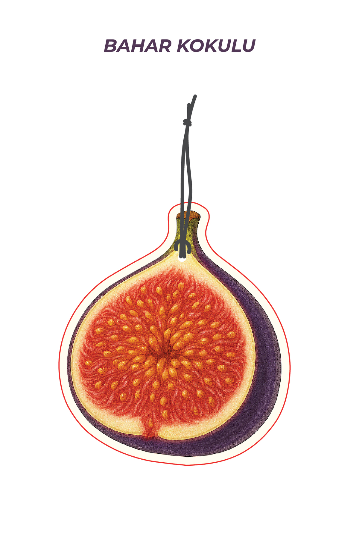 İncir Tasarımlı Araç İçi Kokusu & Dekoratif Oto Kokusu Aksesuarı 