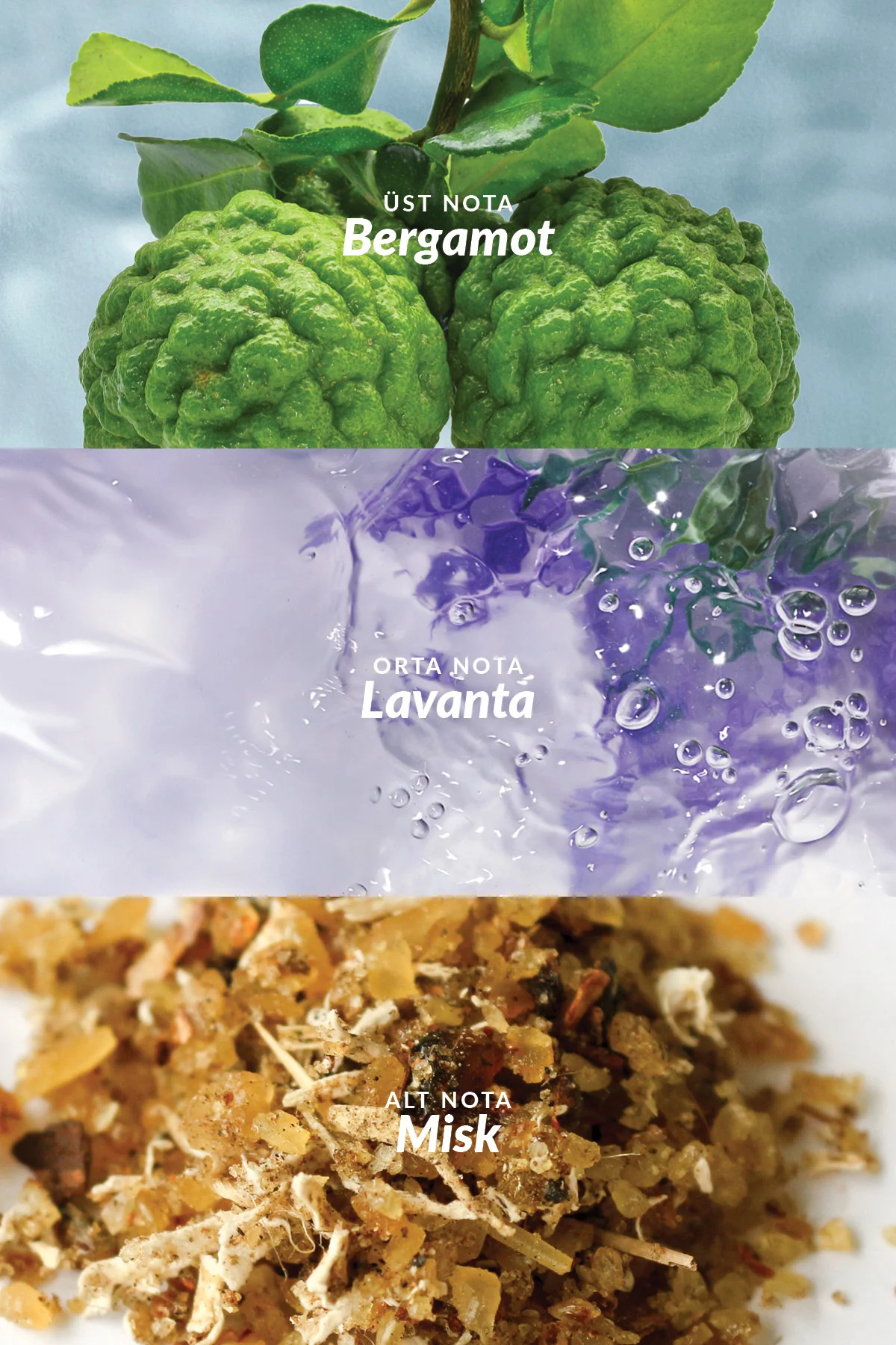 Individual Blue Erkek Parfüm Üçlü Set