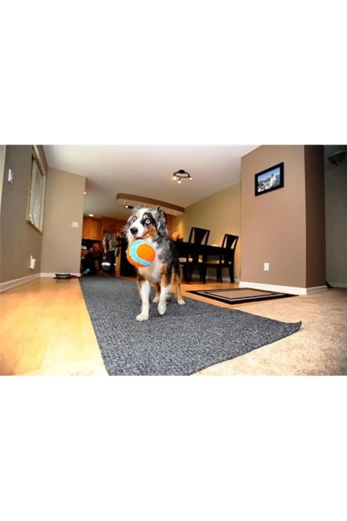 ! Indoor Ball Eve Özel Yumuşak Oyun Topu Köpekler İçin İç Mekan Getirme Topu
