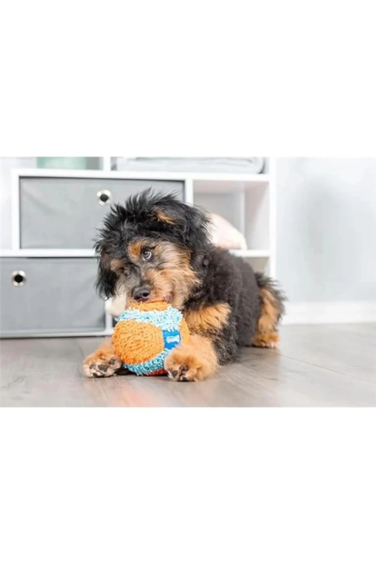 ! Indoor Ball Eve Özel Yumuşak Oyun Topu Köpekler İçin İç Mekan Getirme Topu