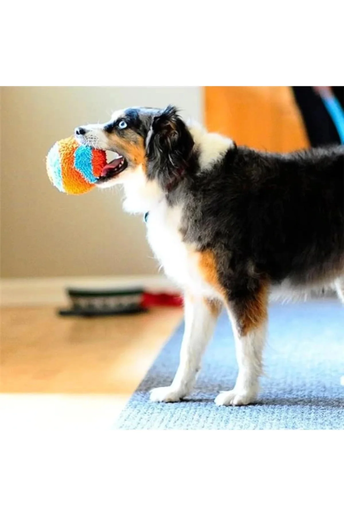 ! Indoor Ball Eve Özel Yumuşak Oyun Topu Köpekler İçin İç Mekan Getirme Topu