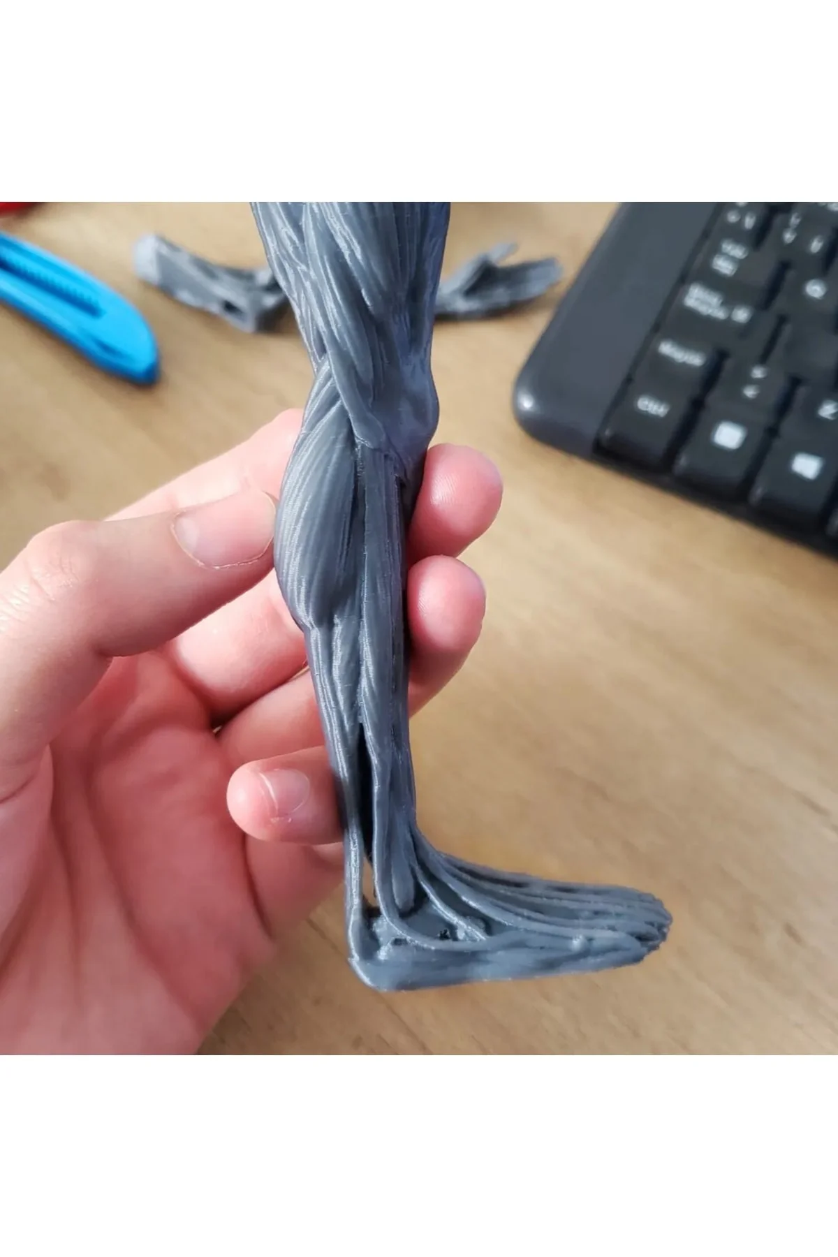 Insan Anatomisi Biblo