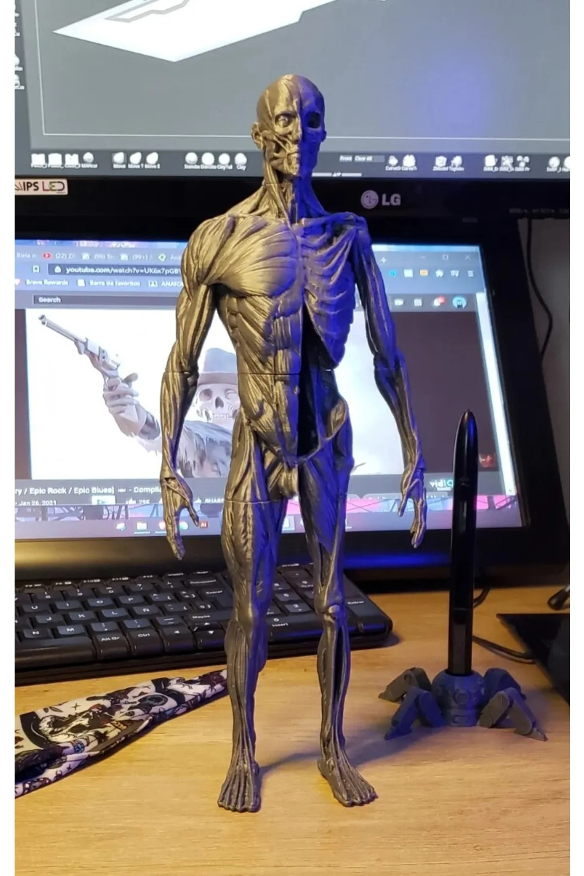 Insan Anatomisi Biblo