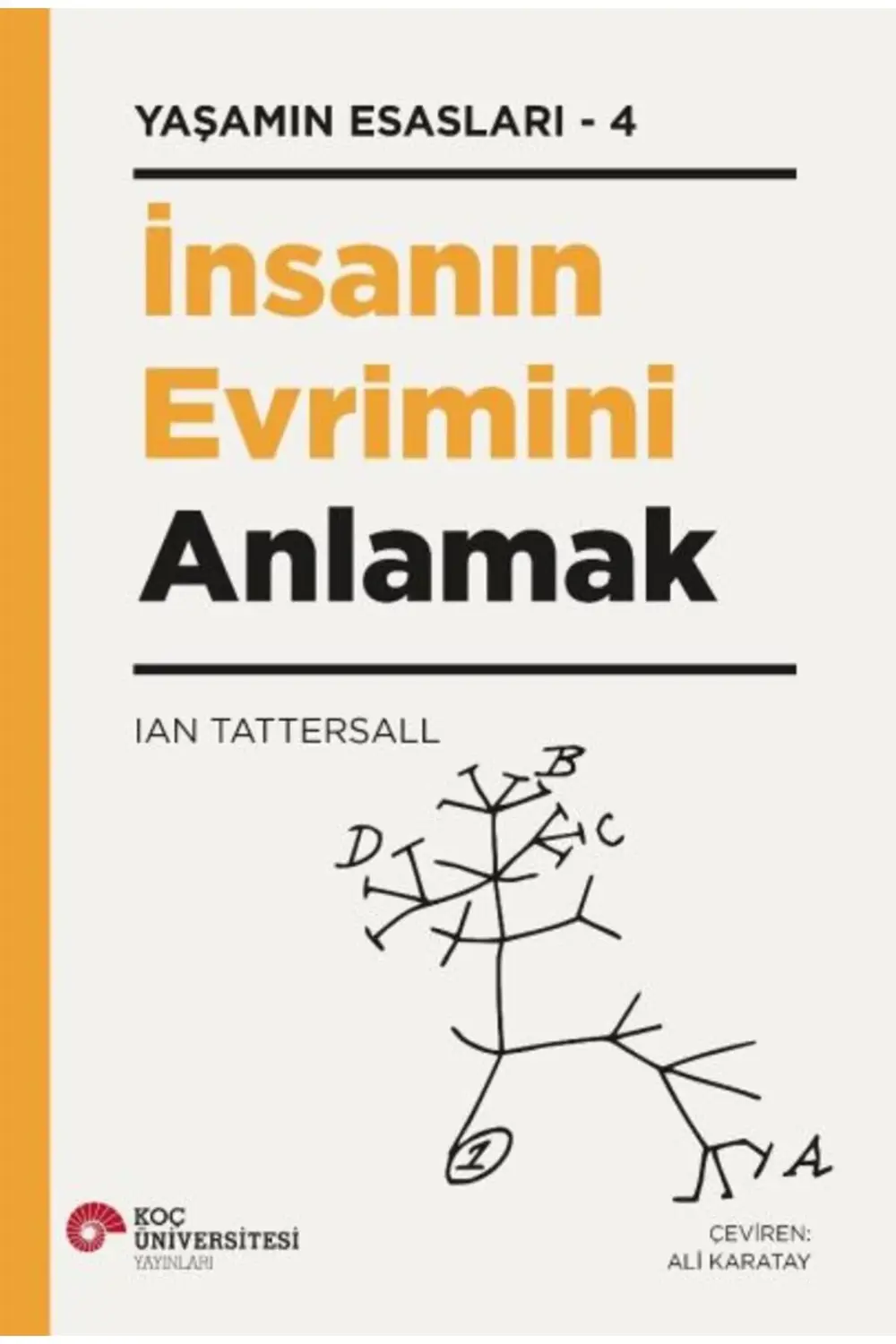 İnsanın Evrimini Anlamak Yaşamın Esasları 4