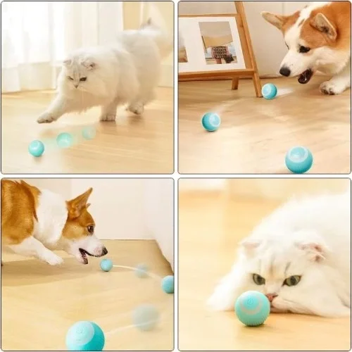 İnteraktif Kedi Köpek Şarjlı Oyun Topu Fiyatı, Yorumları ve Özellikleri