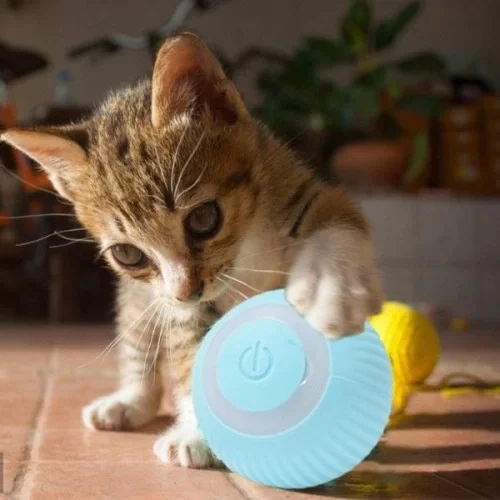 İnteraktif Kedi Köpek Şarjlı Oyun Topu Fiyatı, Yorumları ve Özellikleri