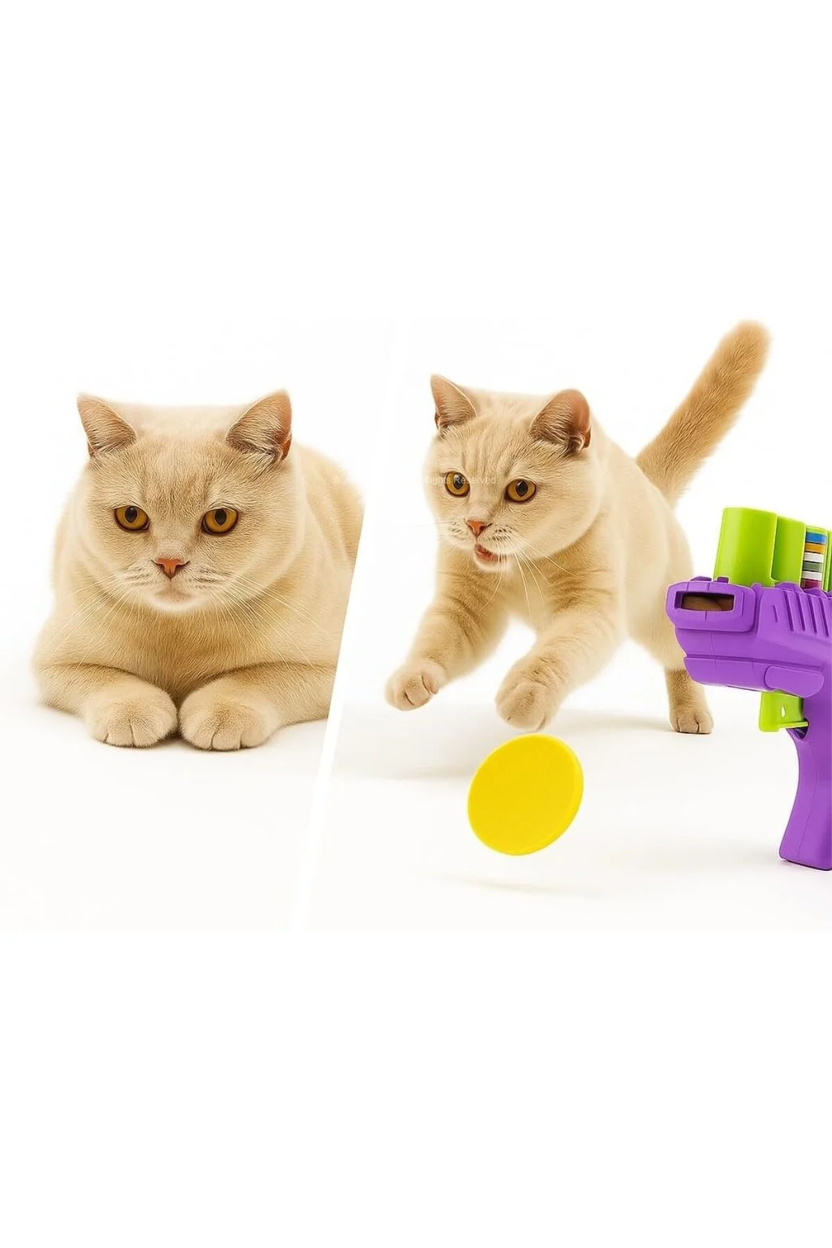 İnteraktif Kedi Oyun Tabancası (Eva)