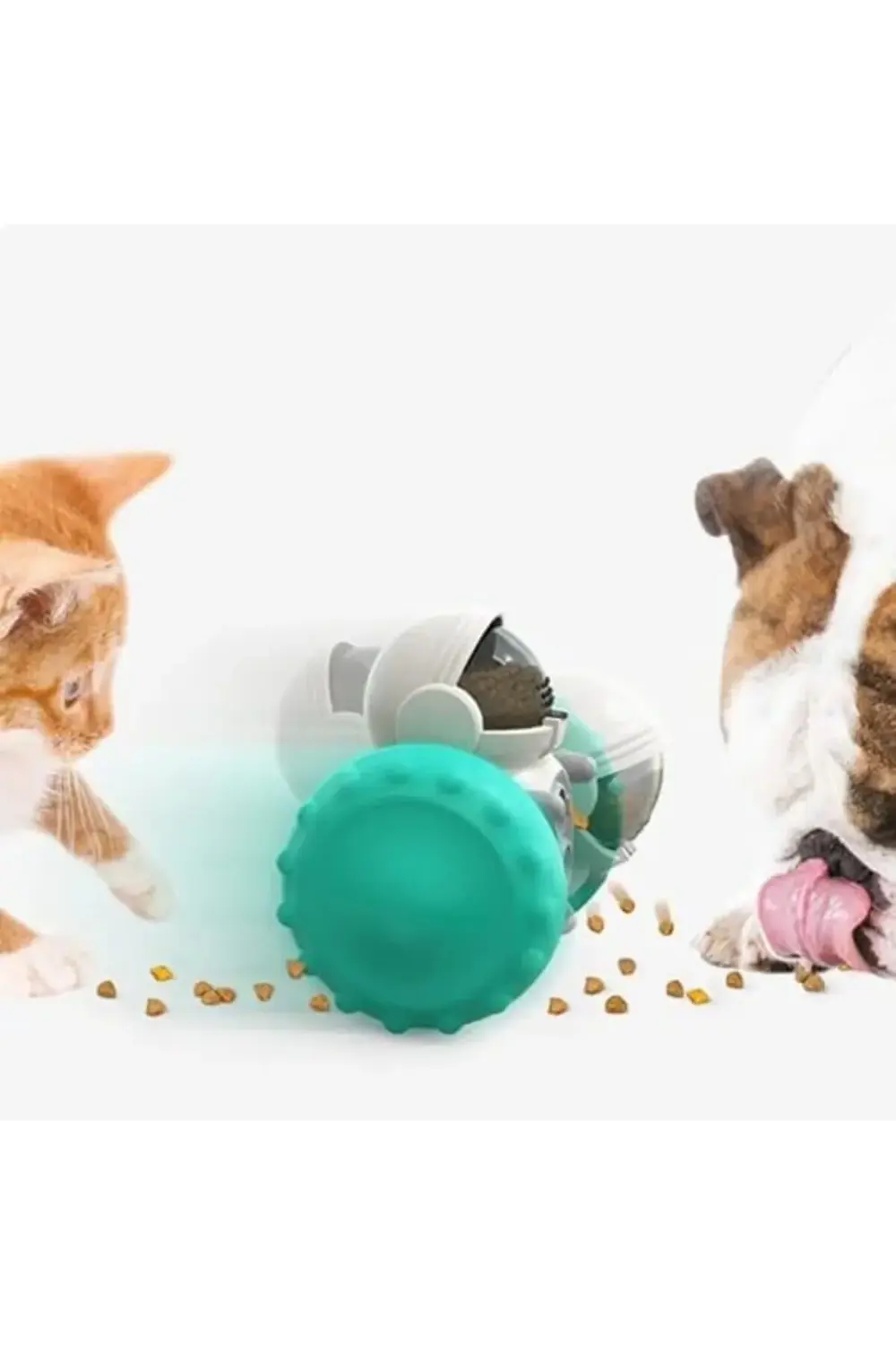 İnteraktif Ödül Dağıtım Turkuaz 1178367