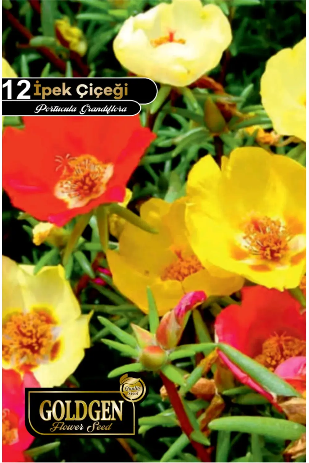 İpek Çiçeği Tohumu