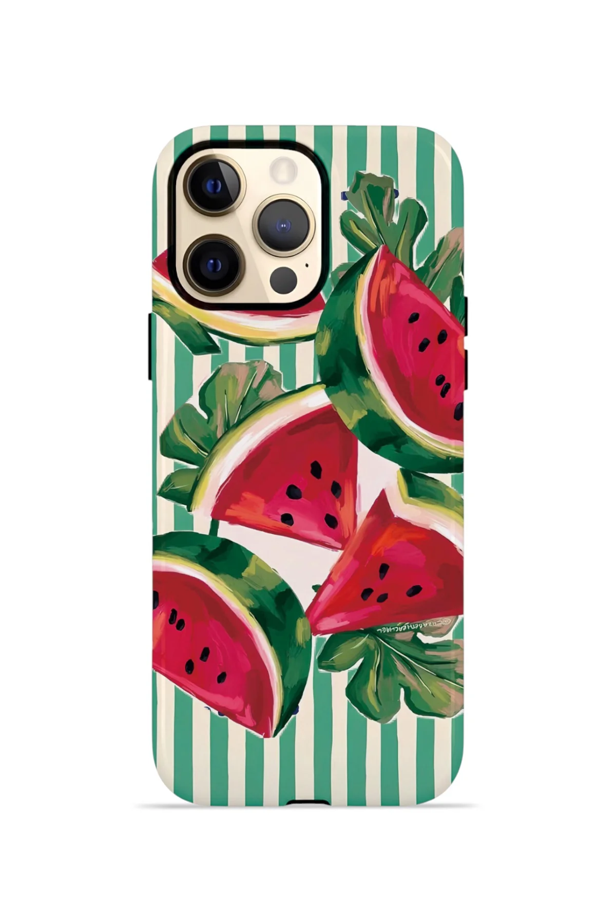 iPhone 12 Pro Vorian Yough Magsafe Kılıf Watermelon Cabana