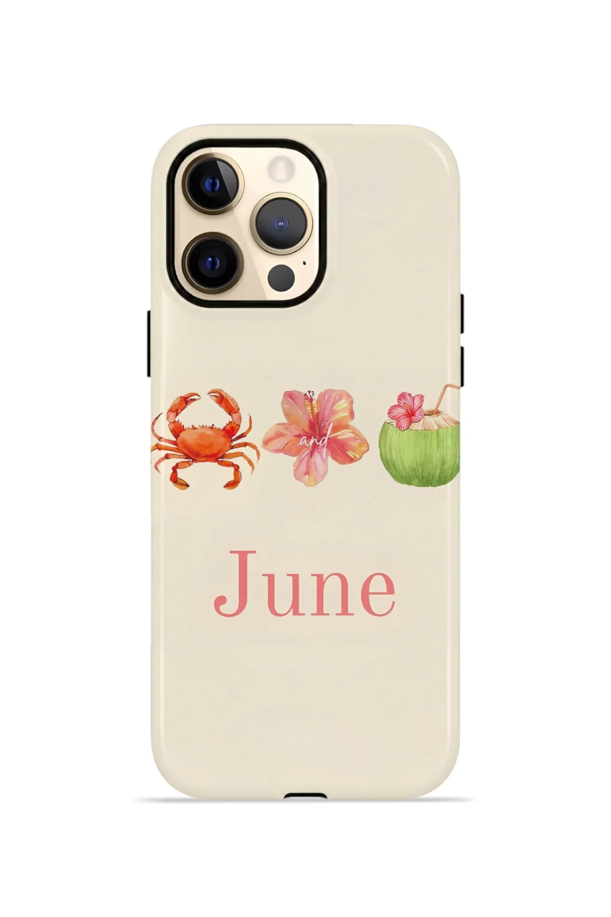 iPhone 12 Pro Vorian Çift Katmanlı Kılıf June Seaside