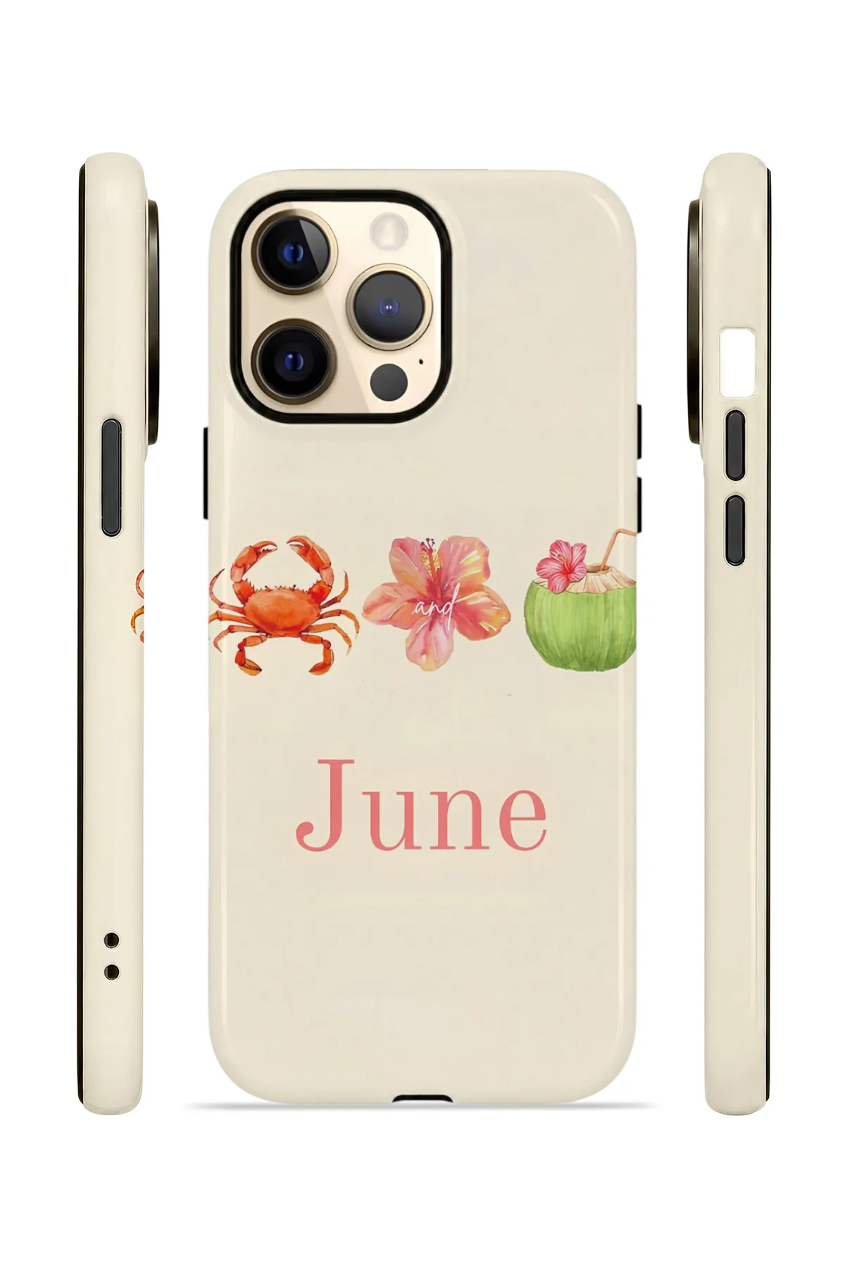 iPhone 13 Pro Max Vorian Çift Katmanlı Kılıf June Seaside