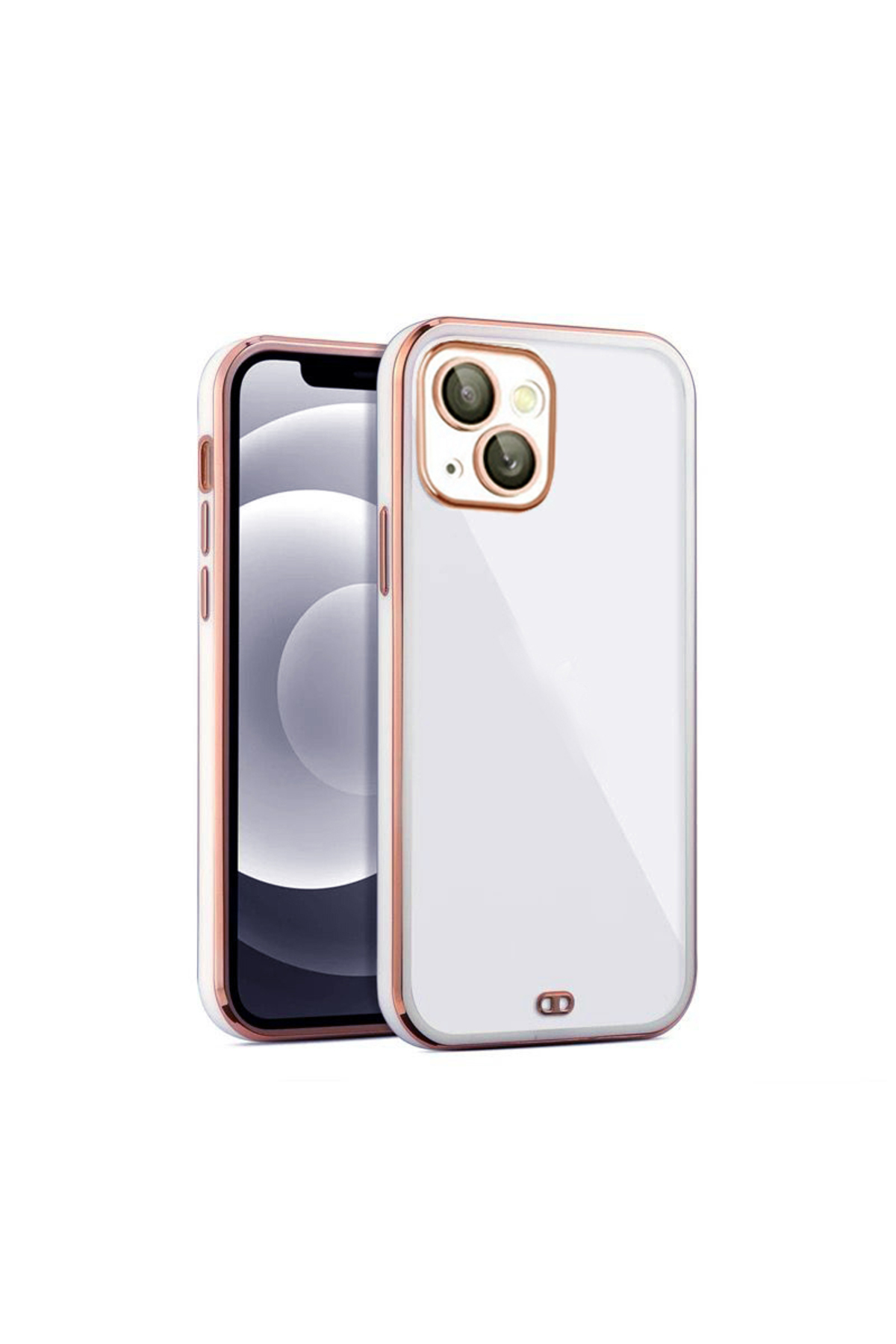 iPhone 13 Uyumlu Arka kapak Kılıf Acık Mavi kenarlı rose