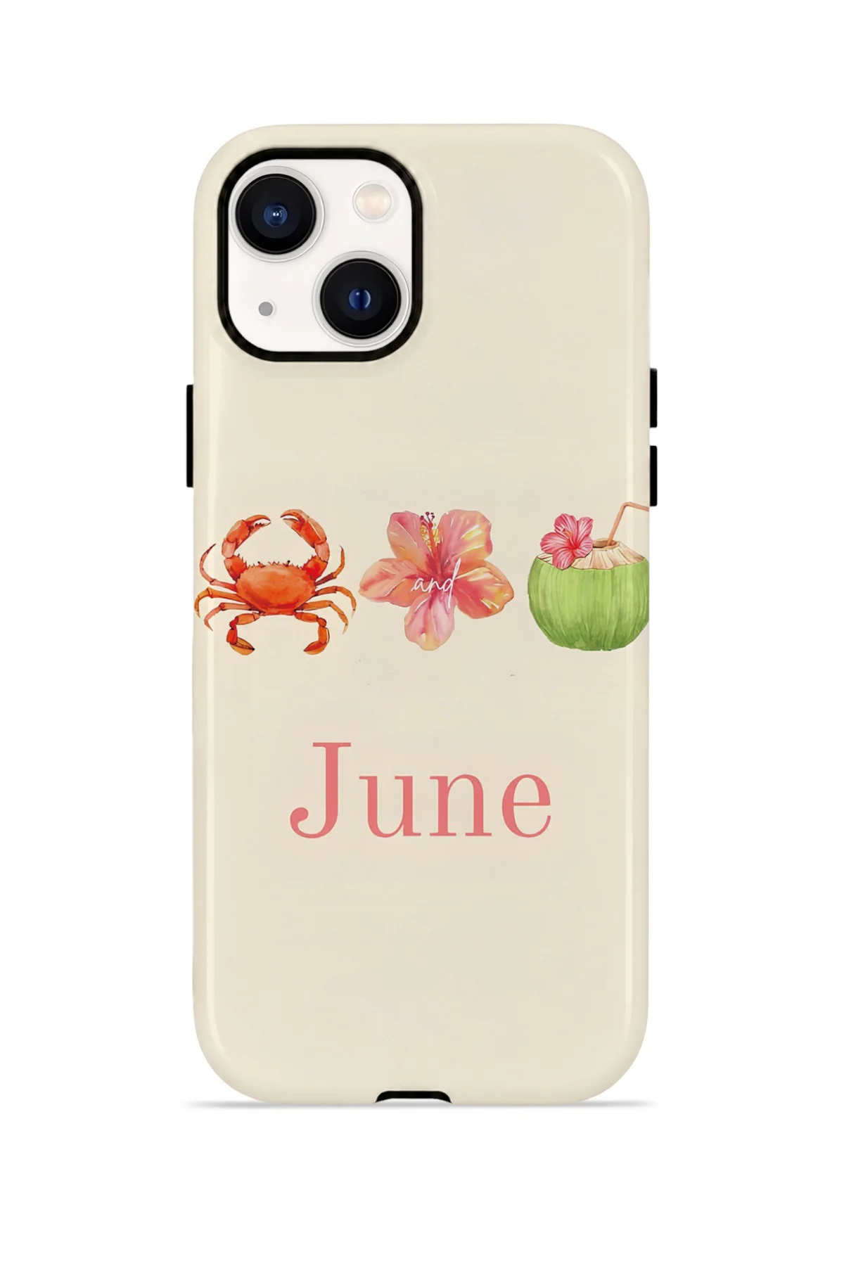 iPhone 13 Vorian Çift Katmanlı MagSafe Kılıf June Seaside