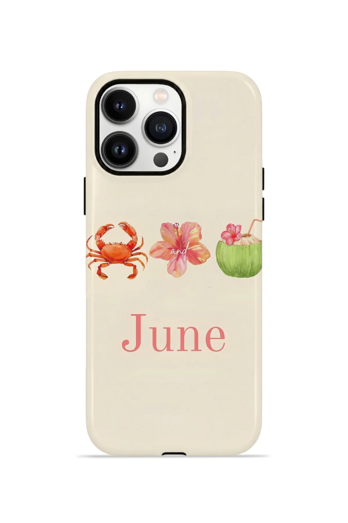 iPhone 14 Pro Vorian Çift Katmanlı MagSafe Kılıf June Seaside Fiyatı, Yorumları ve Özellikleri