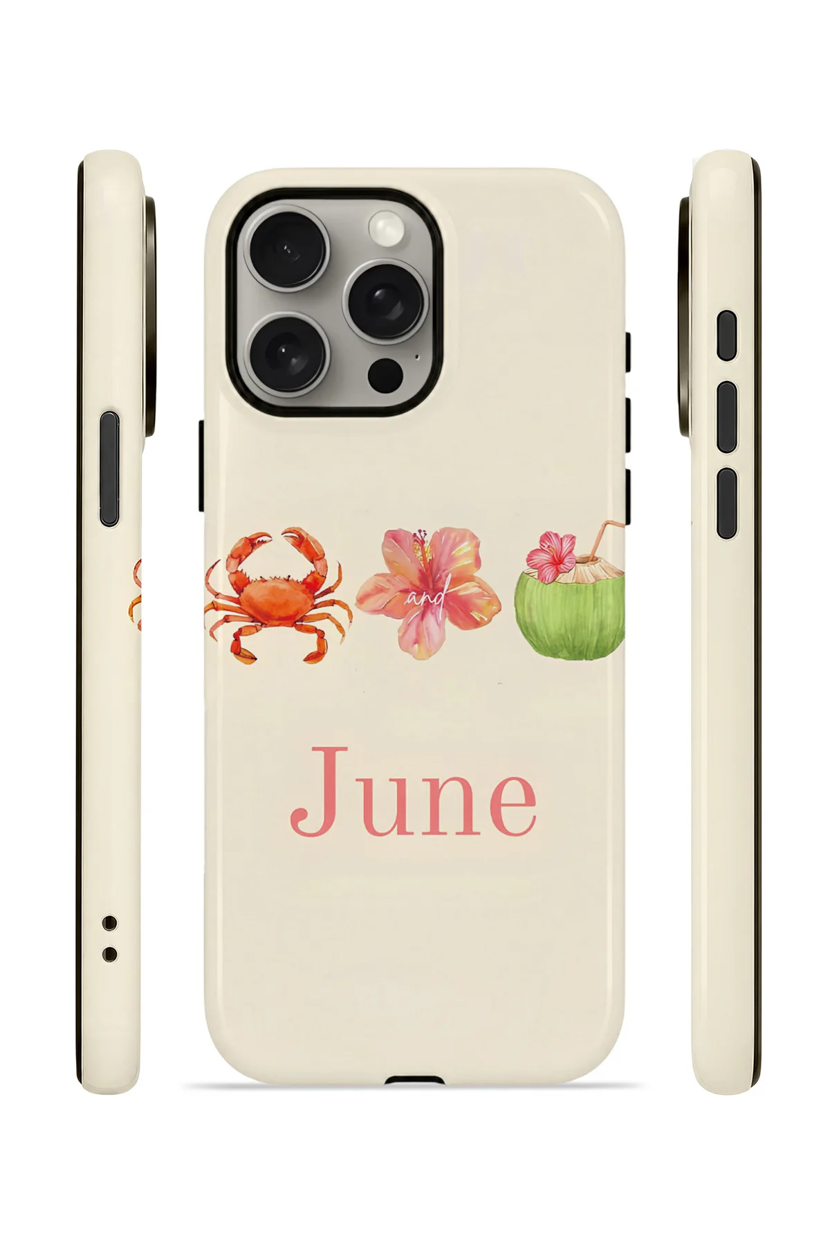 iPhone 15 Pro Vorian Çift Katmanlı MagSafe Kılıf June Seaside