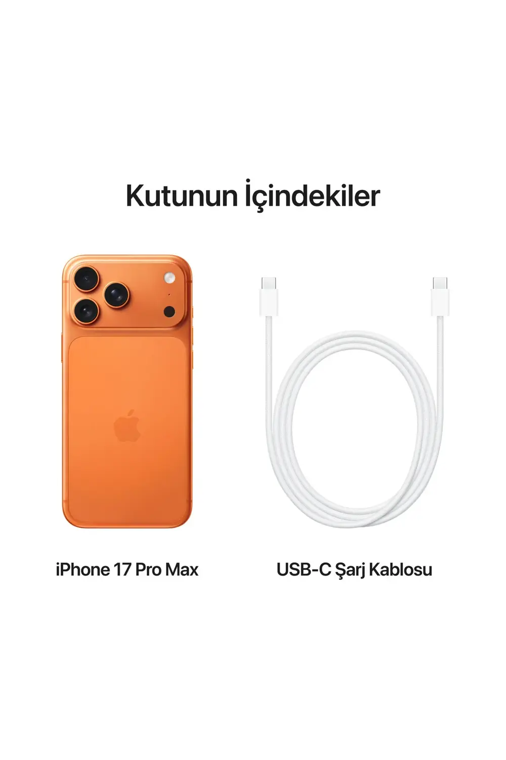 iPhone 17 Pro Max 256GB Abis