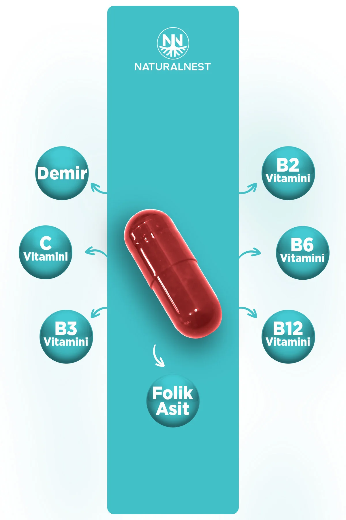 Iron Pro Demir Takviyesi 17 mg 60 Kapsül - C Vitamini, B2, B3, B6, B12, Folik Asit - Görsel 3