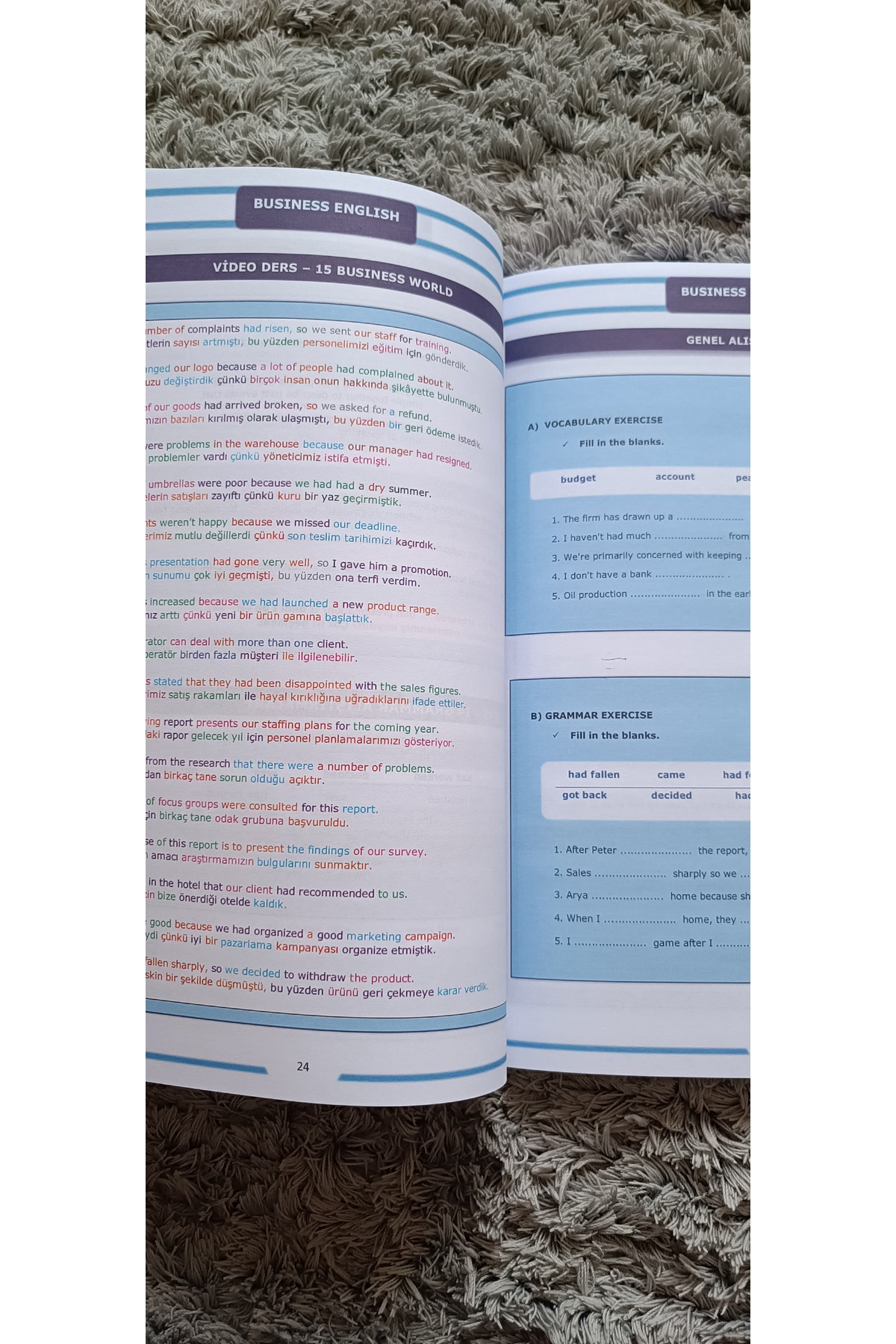 İŞ İNGİLİZCESİ (VİDEO DERSLİ KİTAP)