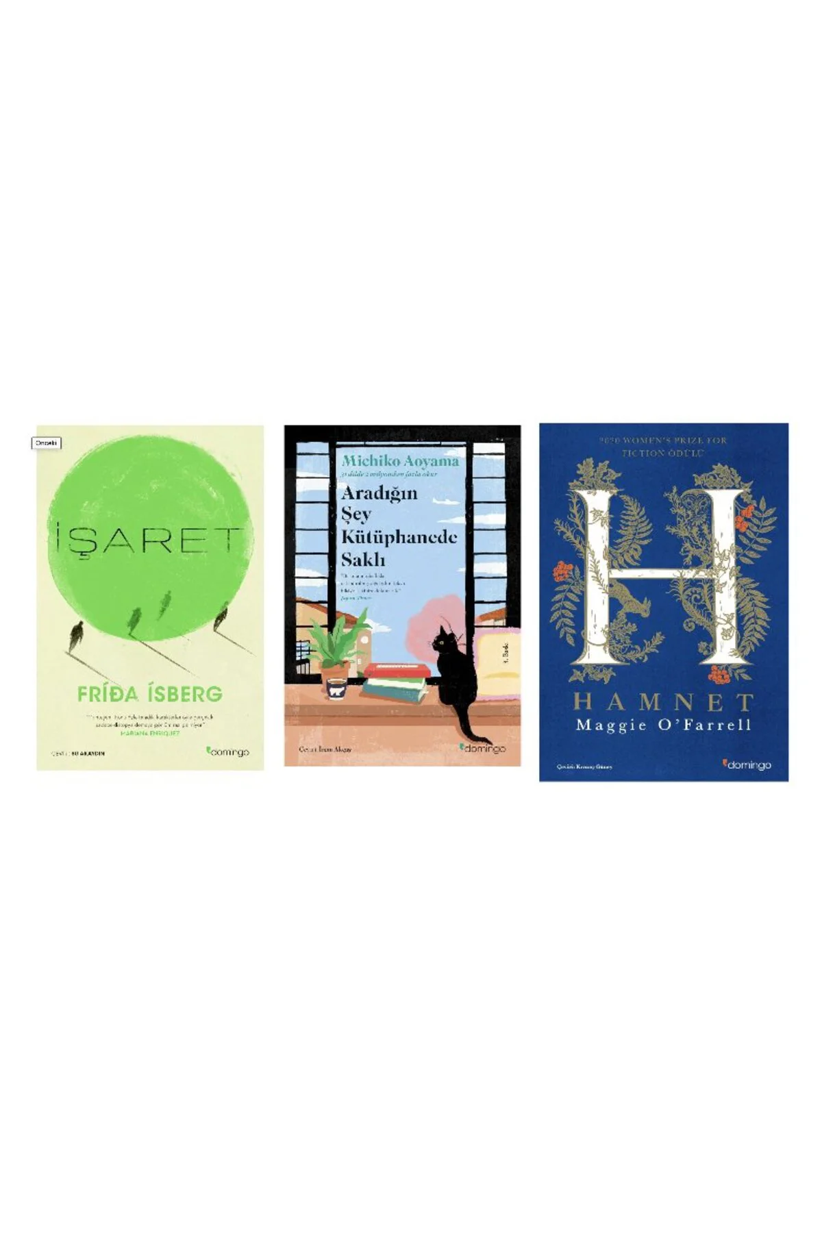 isaret +aradigin sey kutuphanede sakli+hamnet=(3kitap)