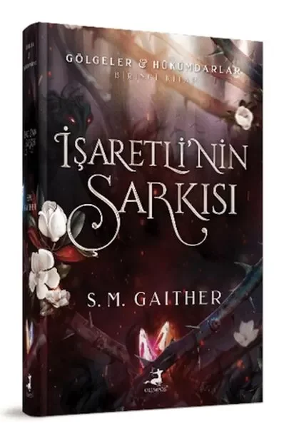 İşaretli’nin Şarkısı Fiyatı, Yorumları ve Özellikleri