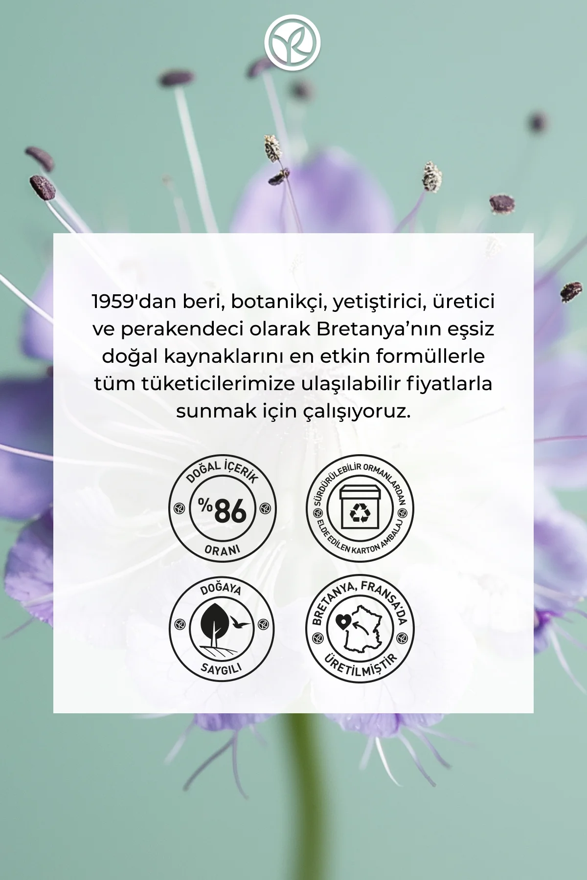 Işıltı Veren Serum Fondöten - Hyalüronik Asit -Teint Radiance - V