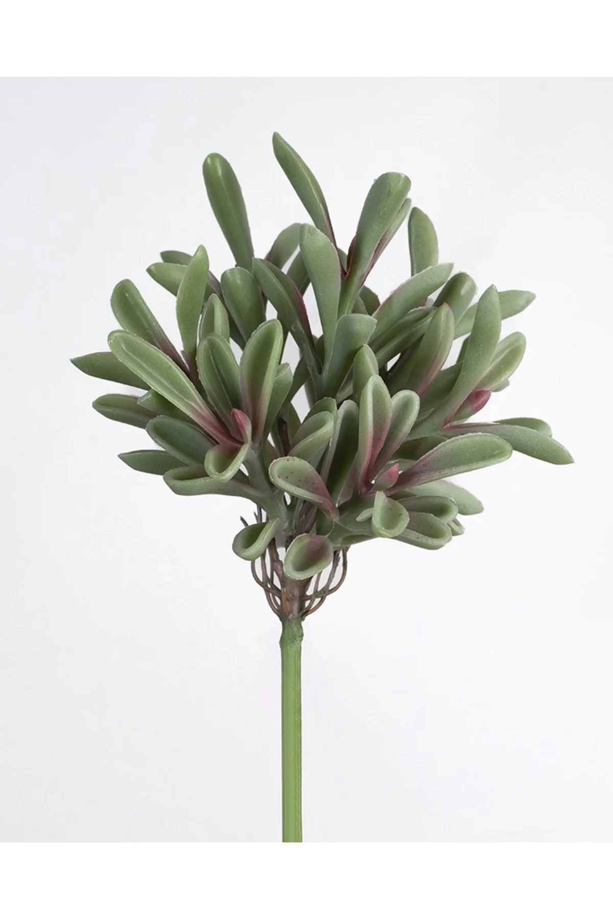 Islak Doku Succulent Yeşil Dal 18cm