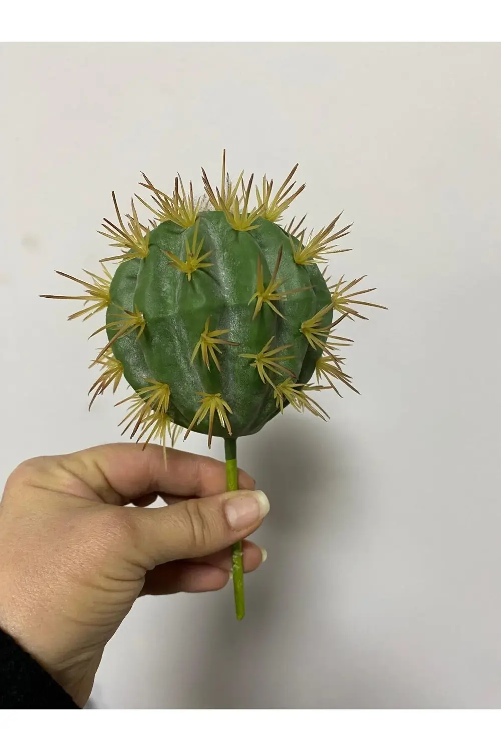 Islak Doku Top Kaktüs 12cm