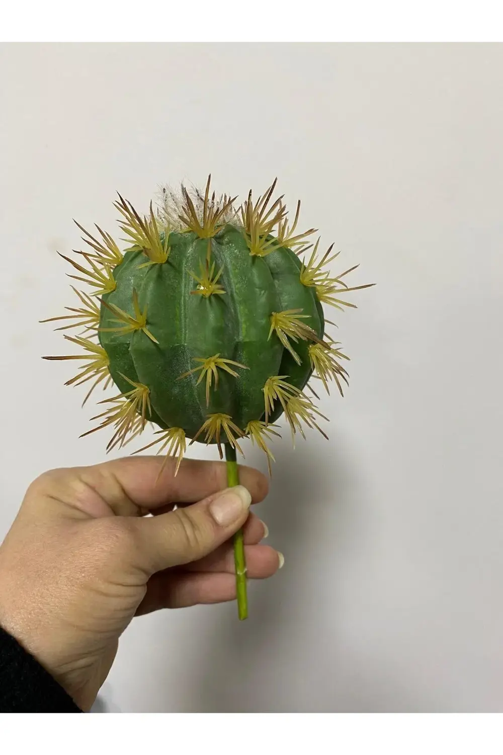 Islak Doku Top Kaktüs 12cm