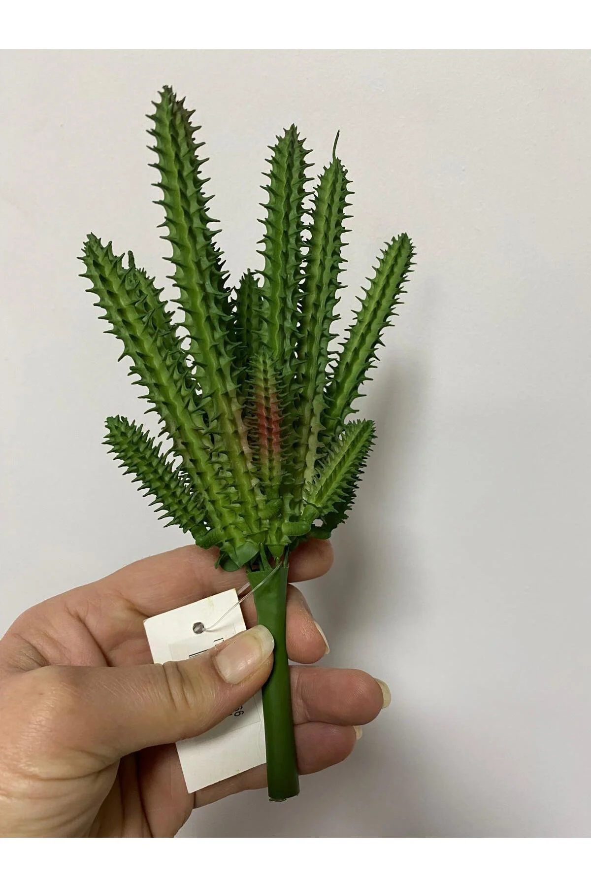 Islak Doku Yapay Succulent 20cm Islak Doku Yapay Succulent 20cm - Görsel 3