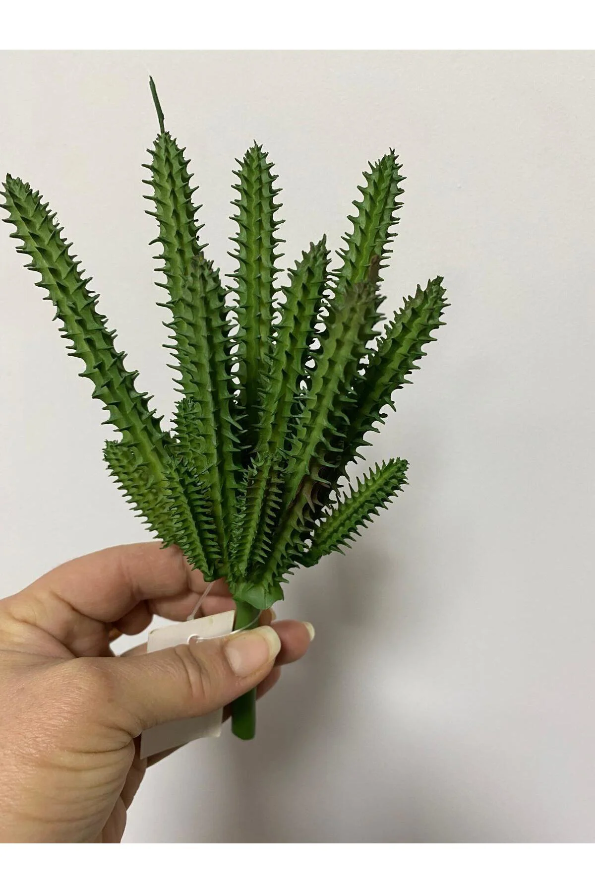 Islak Doku Yapay Succulent 20cm