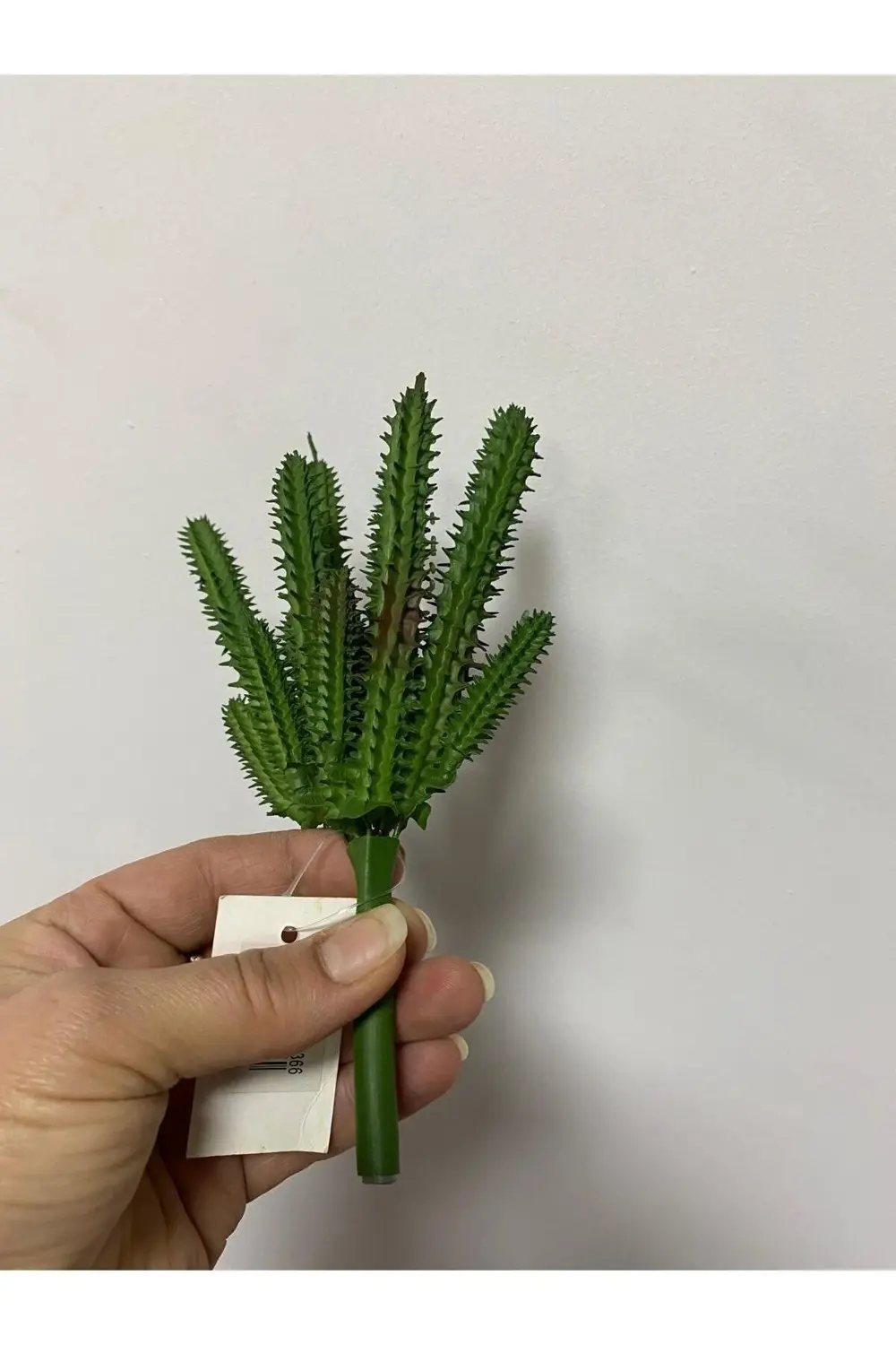 Islak Doku Yapay Succulent 20cm