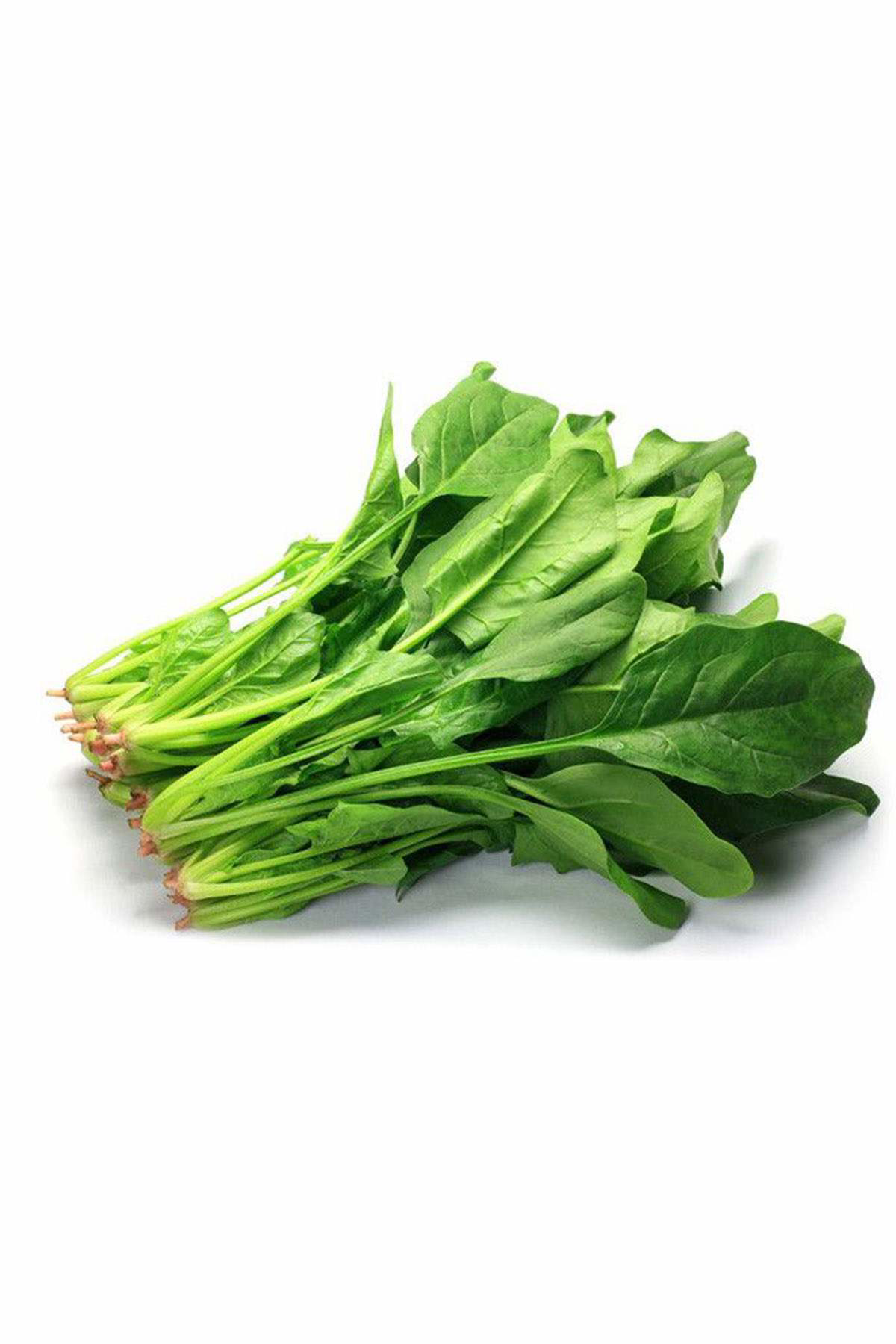 Just Cheap Store İspanak Tohumu 25 Gr