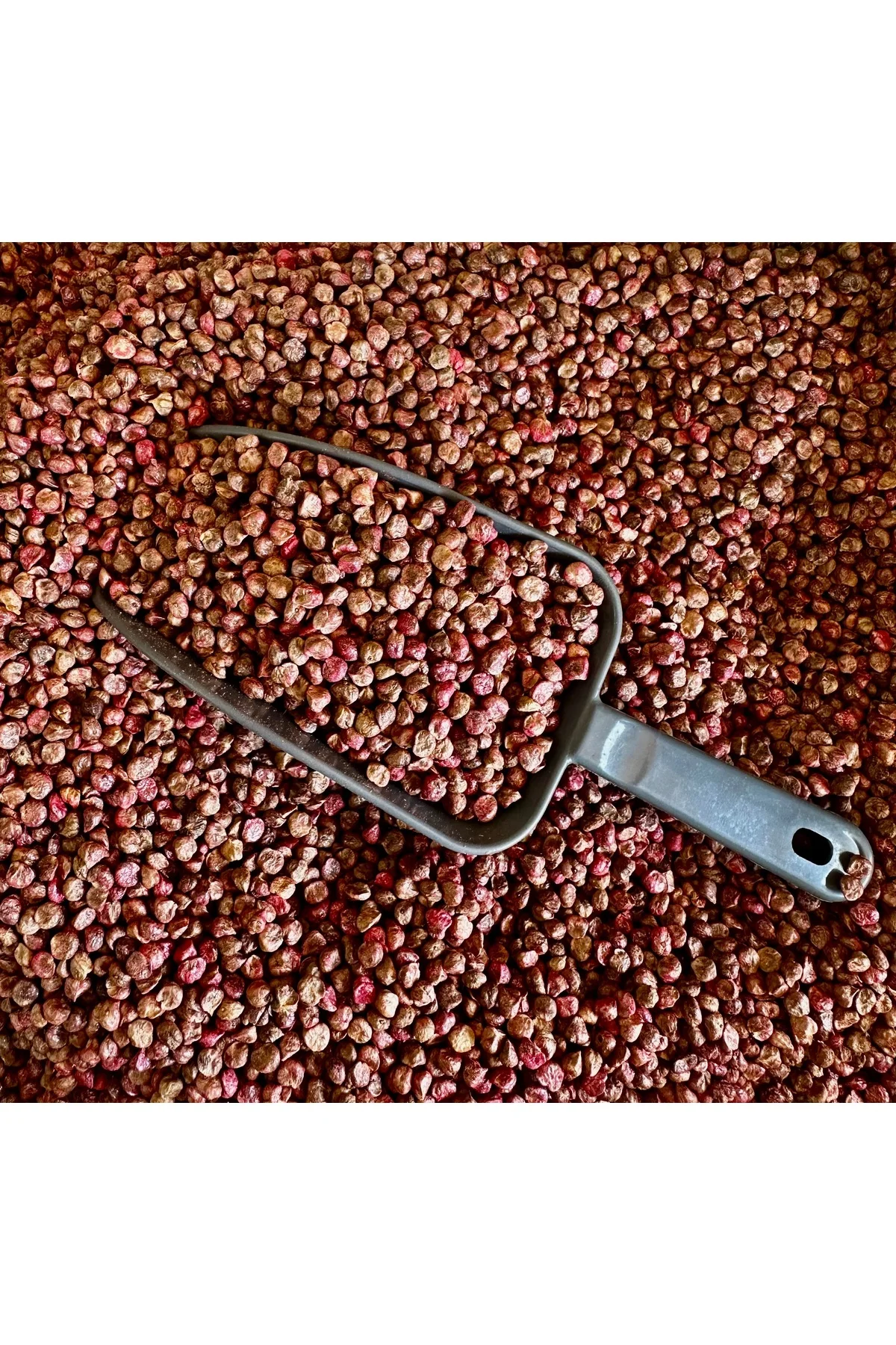 Ispanak Tohumu (AÇIK)50g