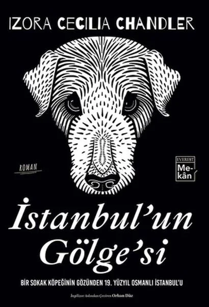 İstanbul'un Gölgesi