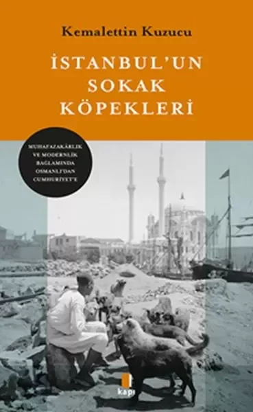 İstanbul’un Sokak Köpekleri Fiyatı, Yorumları ve Özellikleri