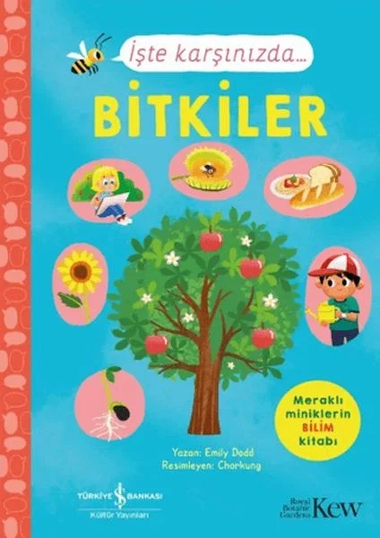 İşte Karşınızda...Bitkiler Fiyatı, Yorumları ve Özellikleri