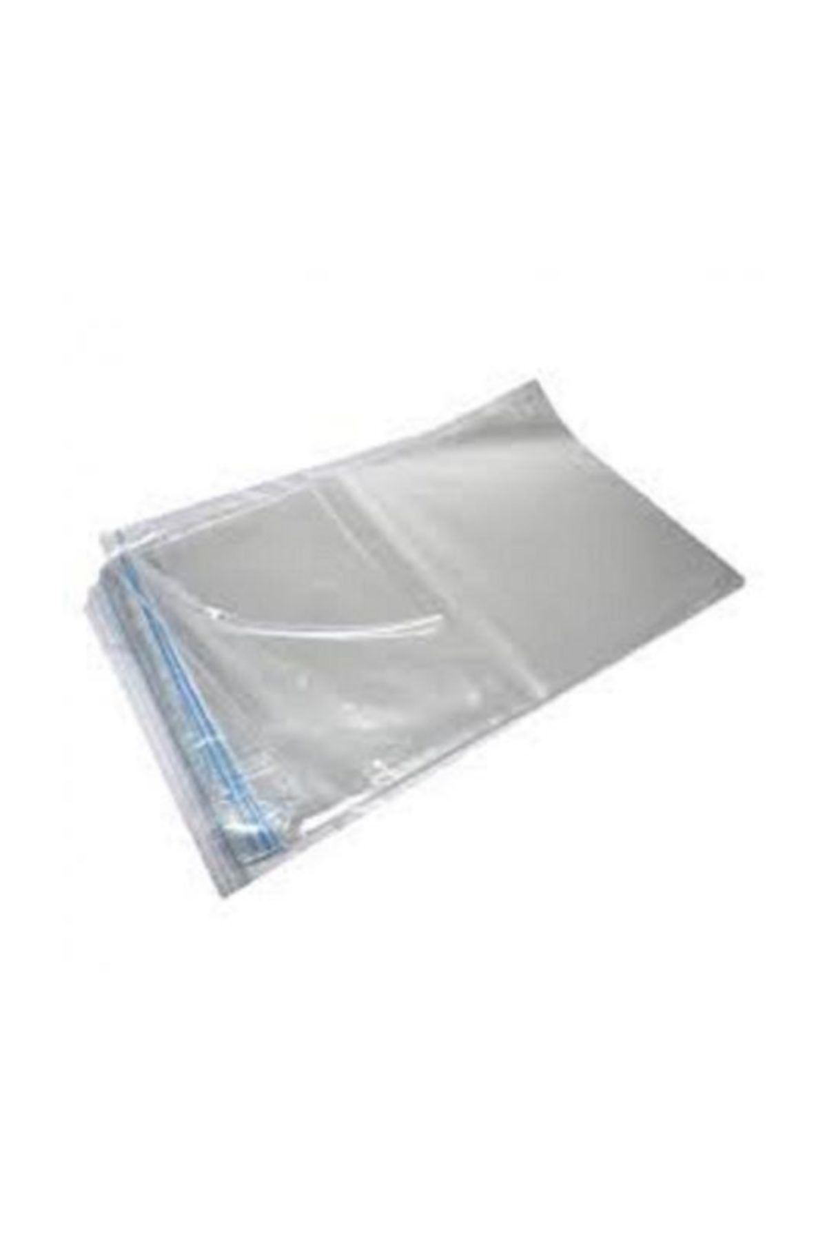 Beyaz İstiridye Mantarı Ekim Torbası (Şeffaf)